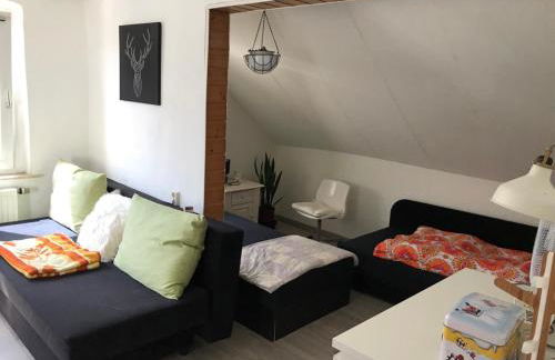 Ferienwohnung im Einfamilienhaus, Automobil und Robert Schumann Stadt Zwickau - Foto 1