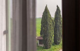 Antico Stemma Corte Meneghella - Photo 70