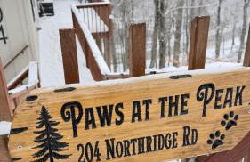 Paws at the Peak - Foto 42