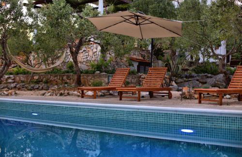 Tvrdic Honey - Photo 78