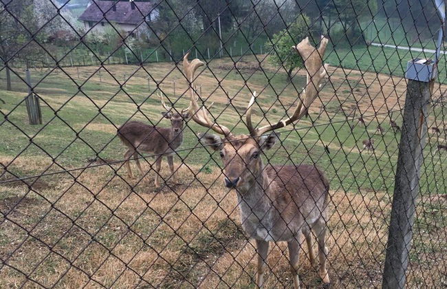 Villa Luana - Photo 34