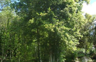 Agriturismo Tenute di Hera - Via Francigena - Foto 12