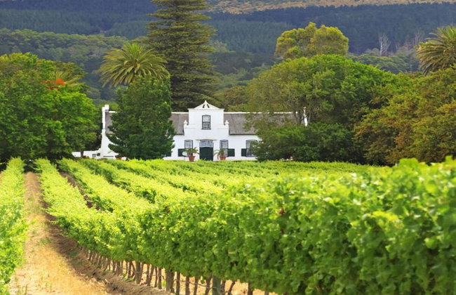 Ground Transportation Chauffeur Service with English Driver - Foto 7