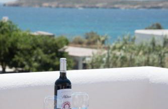 Flora & Agelos Studios - Paros - Photo 14