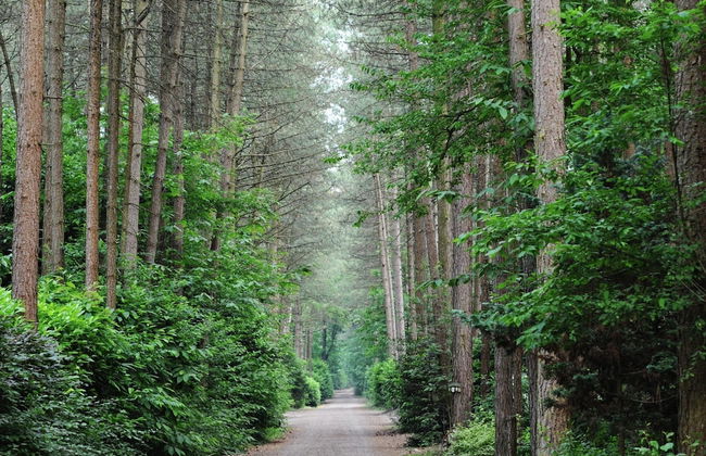 Chalet in Parc de Kievit With Private Garden - Foto 19