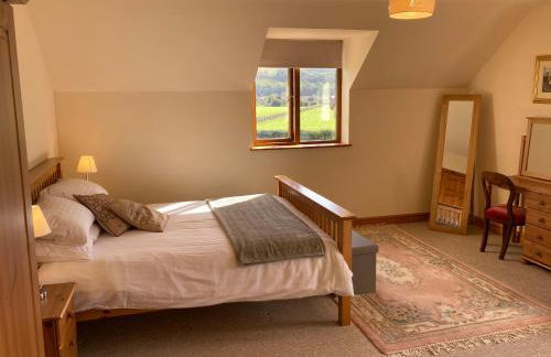 Pentrego Isaf - Foto 20