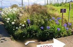 Casa Jardim - Foto 13