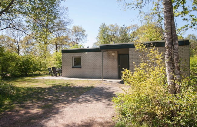 Adapted Bungalow in Appelscha With Terrace - Foto 1