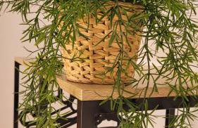 Apartamento Sol y Mar - Foto 12