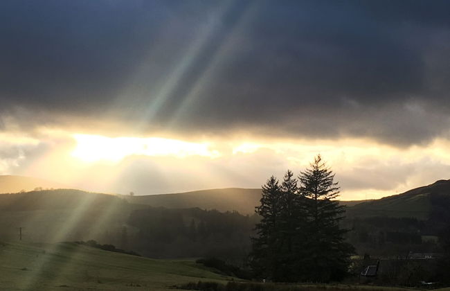 Cosy Woodland off Grid Shepherds Hut - Rowan - Foto 6