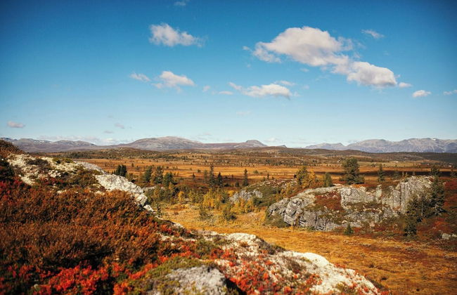 Modern Mountain Cabin - Outdoor Hot Tub - 8 Beds - Photo 57