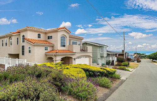 A Dolphin Dreams-Spring Special - Foto 11