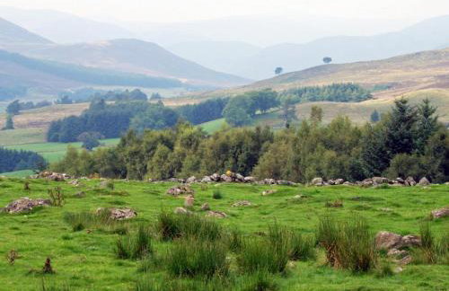 5 Bed in Blairgowrie oc-ca409 - Foto 38