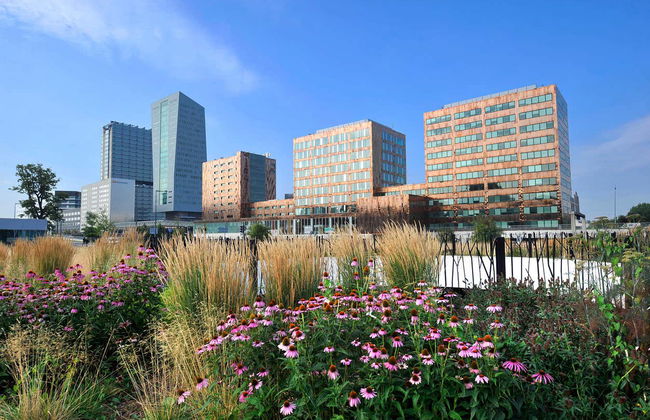 Lille Sightseeing Tour - Photo 8