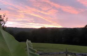 Au chant des oiseaux - rouge gorge - Foto 31