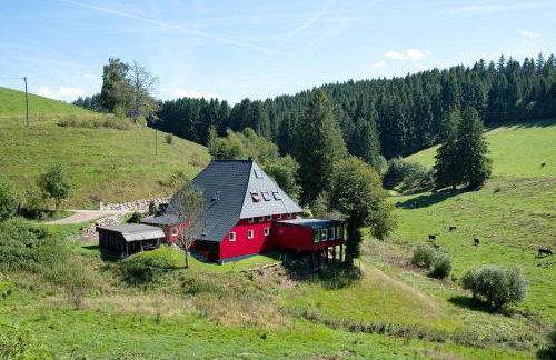 Grundhäusle Gütenbach - Foto 1