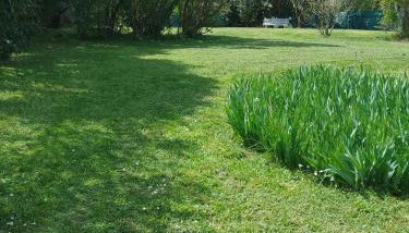 Maison spacieuse à Vic-Fezensac avec jardin - Photo 2