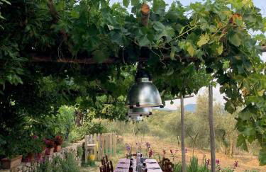 Sport Bikes and Nature - Foto 8