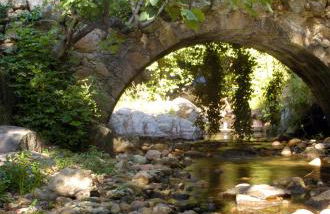 Casas Rurales Acebuche en Valle del Ambroz - Foto 82