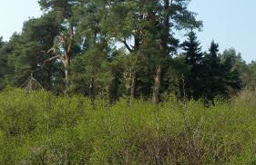 Lütt Verbliev - Foto 26