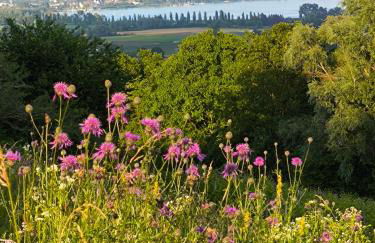 Bo'SeeAnNa I - Foto 18