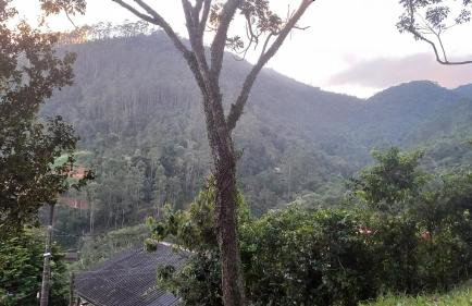 SÍTIO ALTO DA COLINA - Foto 6