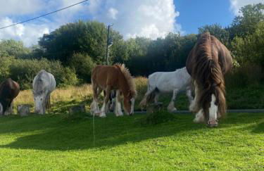 44 Gower holiday village Ty Gŵyr Cosy 2 bedroom Chalet with a seasonal indoor pool - Foto 23
