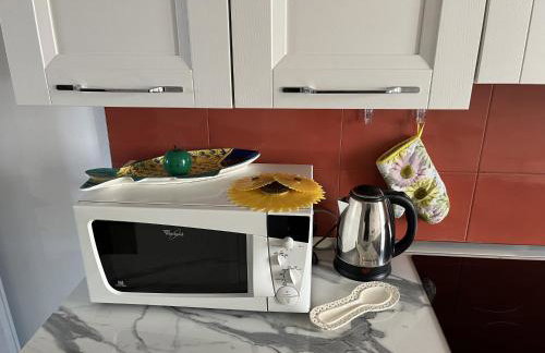 Grand F2 60mq centre Antibes, proche plages, commerces, 2 balcons, parking, train, bus, deco vintage, pet friendly - Foto 29