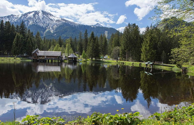 Enchanting Chalet With Infrared Sauna - Foto 48