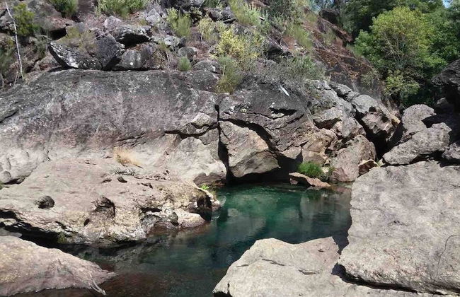 Forest House Casinha do Carvalhal - Foto 6