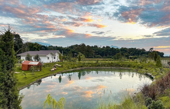 Pine Village - Foto 18