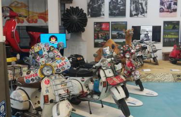 Casolare Isabella "Il rifugio dei vinili" and Alice's room - Foto 54