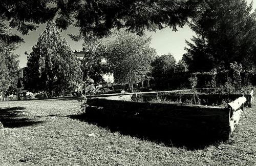 La Francigena - Foto 30