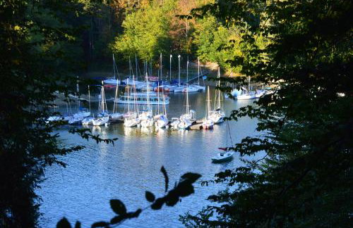 Domki Pod Lasem - Photo 33