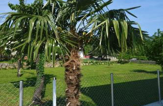 Villa Martina - Photo 22