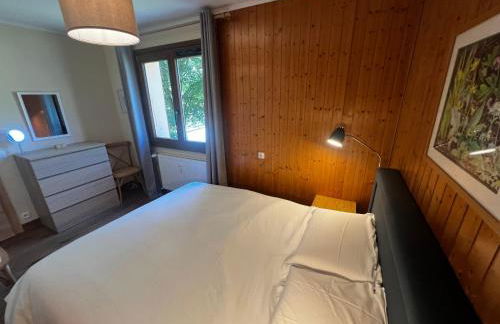 Vue du Mont-Blanc - Photo 16