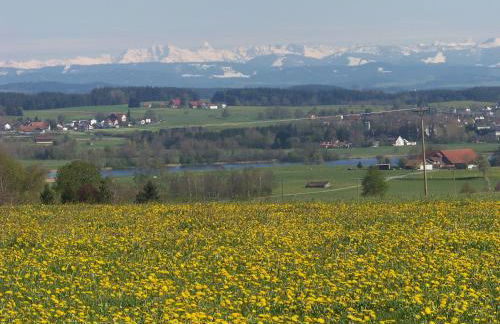 Ferienhaus Brunnenweiher - Foto 5