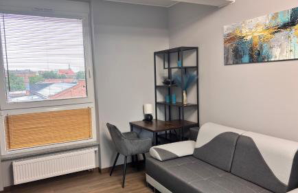 APARTAMENT LUX Bulwary Chrobrego Gniezno - Foto 17