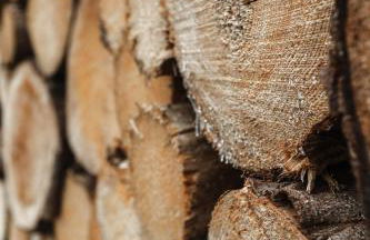 Sternenblick Lodge, im Harz, mit Schwimmbad und Sauna - Foto 46