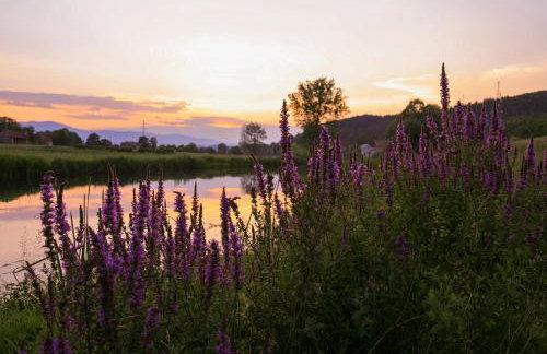 Apartman Lucija & Luka - Photo 46