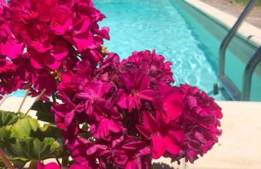 Villa Poggio al Sole Bio Agriturismo private pool - Foto 56