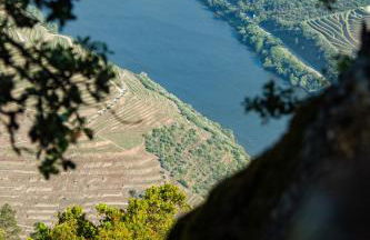 Apartmento - Casa dos Meninos - Foto 40