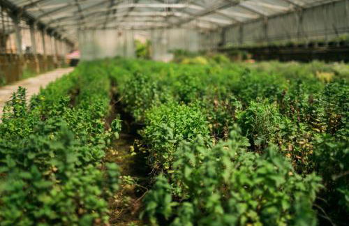 Fondo Brugarolo B&B - Foto 29