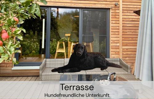 TinyHousebeiDresden mit Faßsauna unser größtes winziges Häuschen für bis zu 7 Personen, Kaminofen, große Terrasse - Nähe Sächsische Schweiz - Von Juni - September Mindestmietzeit 1 Woche Sa-Sa - Foto 11