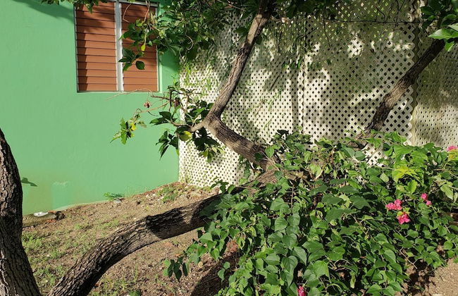 The Greenside Cottages - Foto 11