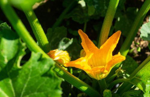 Relais La Dolce Vite - Foto 152