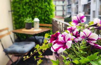 Casa Relax - 500 mt. dal Centro - Foto 17