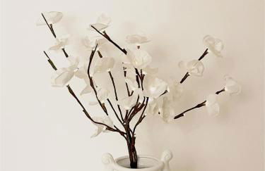 Place Sainte Marguerite - Foto 62