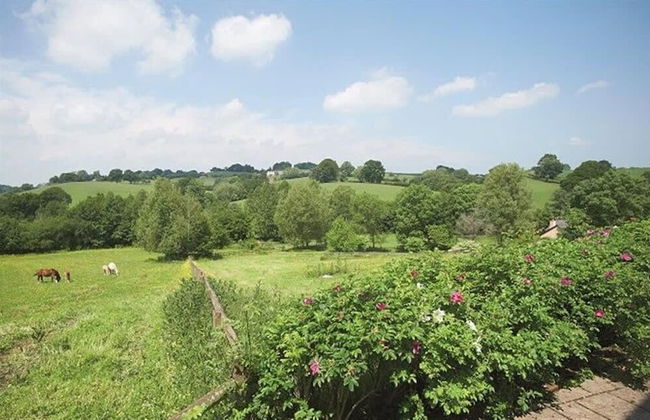 Host Stay Tregaer Mill Barn - Foto 11