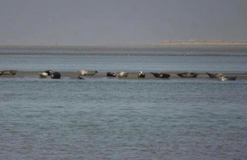 Le Nid de Boismont - Foto 9